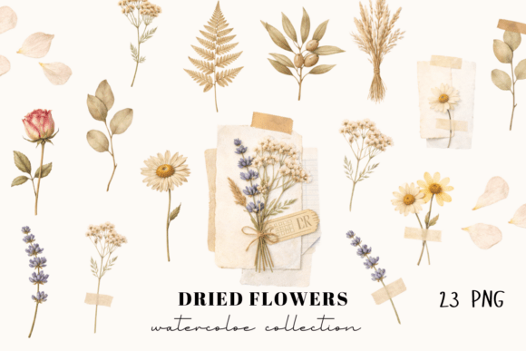 Dried Flowers Watercolor Collection: A Design Asset Guide