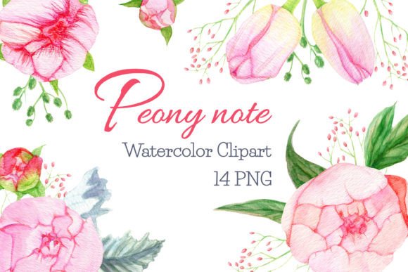 Elevate Your Designs with Watercolor Peonies Clipart Florals Peony