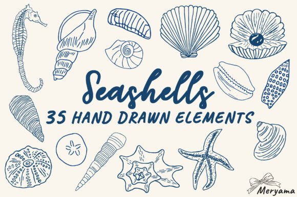 Hand Drawn Summer Seashell SVG PNG: A Designer's Guide