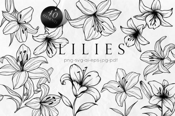 Lily Flowers Line Art SVG: Elevate Your Design Projects