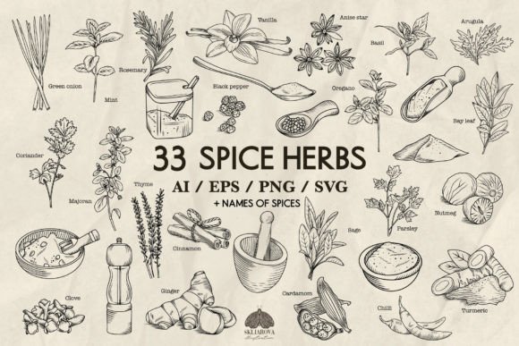 Spices and Kitchen Herbs SVG, PNG, EPS for Design